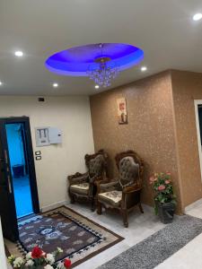 احمد المليحى بالدقى