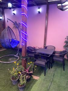 احمد المليحى بالدقى