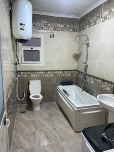 احمد المليحى بالدقى