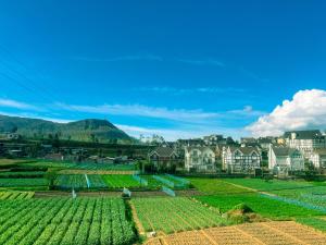 Little England Cabins