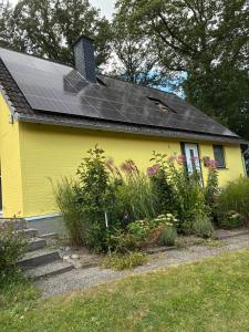 Haus Wald und Wiese Wohnung Wald