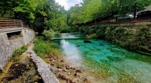 Casa sul lago - Appartamento Glicine - Parco della Majella