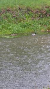 Cabană în inima munților 2 - Gálkuti Kulcsosház