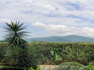 Eiyuu Hotels - Wildlife & Nature Vista