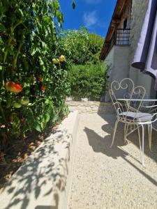 Gîte VITAL Rivière - Charming cottage