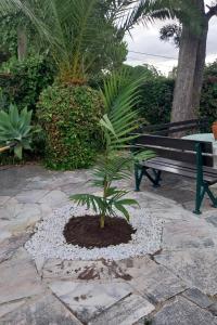 Villa Casa das Palmeiras