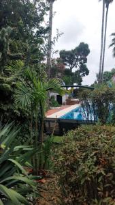 Villa Casa das Palmeiras