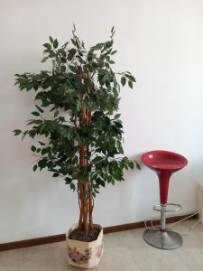 Martesana 4