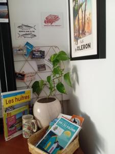 Le Stud à Saint Pierre dOléron !