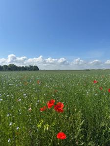 LÉchappée normande
