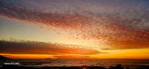 Oceanview Apartment -- Stunning view of Table Mountain & Atlantic Ocean
