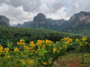 7 heaven resort at krabi เซเว่น เฮฟเว่น รีสอร์ท แอท กระบี่