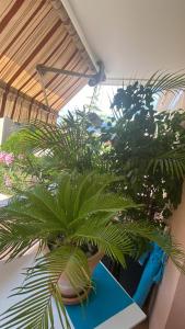 Dolce-Vita appart 3 étoiles, climatisé , 50M de la mer et aux portes de Menton ,parking gratuit