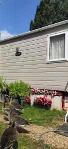 Billing Aquadrome , Poplar ,2 bedrooms caravan, KM12