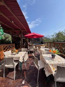 HOSTAL SELVA MARíA TAYRONA