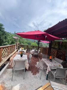HOSTAL SELVA MARíA TAYRONA