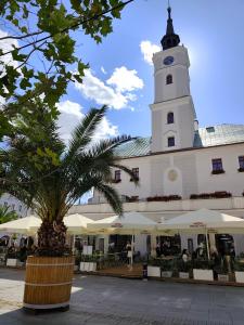 Apartament Gliwice Centrum plus Parking