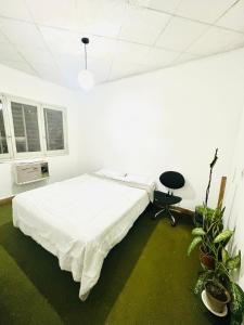 DEPARTAMENTO INDEPENDIENTE CON 2 DORMITORIOs