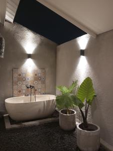 Mezzanine In Sanur Harbour