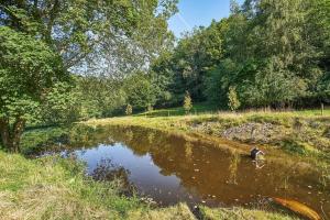 Naturperle midt i skoven, ved sø og eng