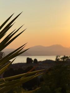 Bella vista - Garda Lake