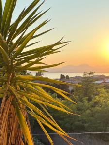 Bella vista - Garda Lake