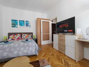 Piac Street Apartment -Debrecen