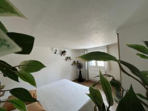 Maison de village Pourcieux