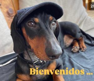 MODERNO PISO CON LA MEJOR TERRAZA DE RIBADEO Y VISTAS MARAVILLOSAS
