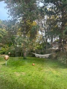 Between city and countryside