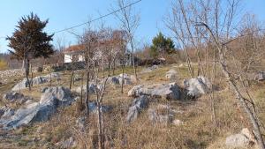 Holiday Home NOEL - NATURE & POOL