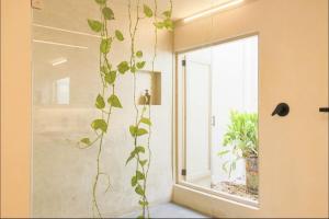 OMA CANCUN - Holistic Healing Center