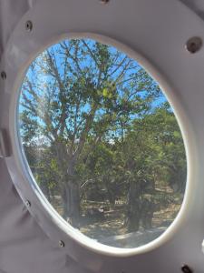 Romantic Dome & French Cuisine