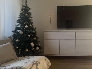 Charming Comfort in the Heart of Snowy Rovaniemi