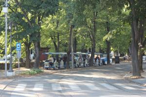 Apartment Ornament Lux B11