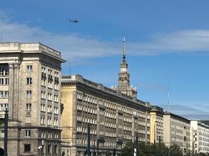 Vincent in downtown Warsaw at plac Konstytucji