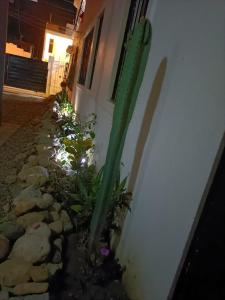 Apartamentos ipap luperon