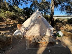 Azienda Agricola Veldidonna img31