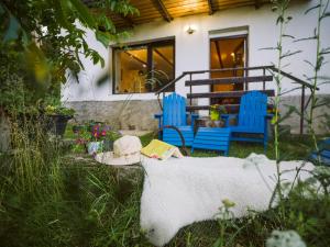 Terra Farma Cottage, cozy urban escapes here!