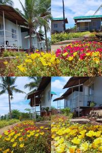 Anda Container House