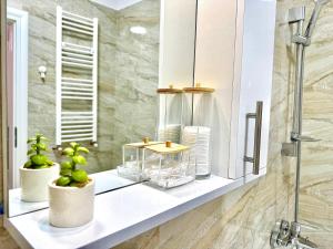 Zenith Central Address Apartment with Parking