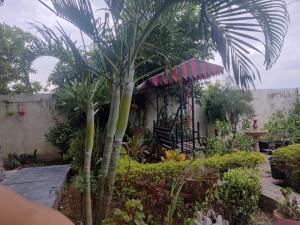 Green Meadows Homestay