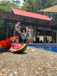 Las Plumas de Cabuya