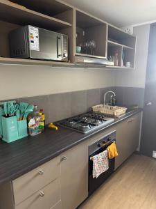 departamento hospicio