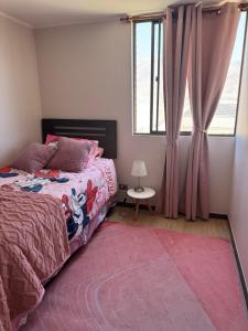 departamento hospicio