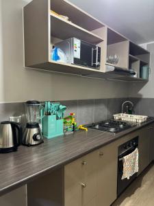 departamento hospicio