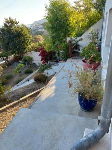 Magnifique vue sur la mer ...