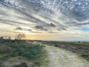 6 person holiday home in Læsø-By Traum