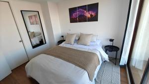 Refugio Bellavista vista al Costanera y los Andes