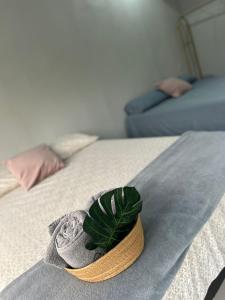 Residencia Esmeralda